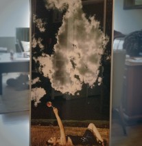 Photographer Rachael P.'s image in sleek/chic etched metal frame w/museum glass. At 2'x4', an impressive image!