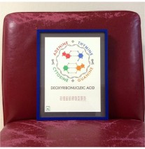 Custom framed original letterpress art DNA letterpress from Collector Art in Berkeley -- framed at Panorama for a local customer :-)